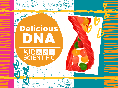 Kidcreate Studio - Eden Prairie. Delicious DNA Workshop (4-9 Years)